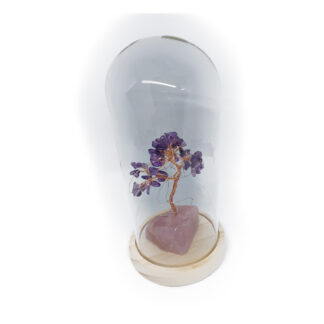 Stolp van glas met Amethist gelukboom (incl. verlichting)