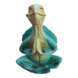 Yoga / Meditatie schilpad