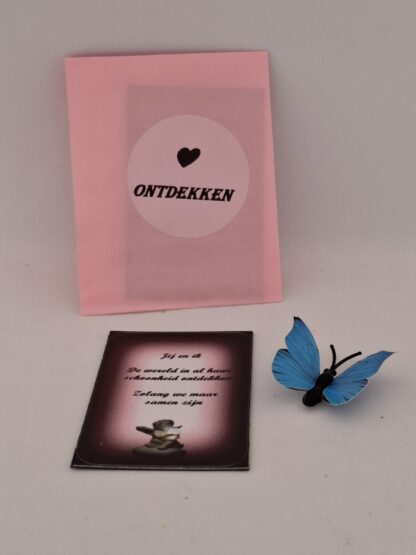 Ontdekken (magneet) - Afbeelding 2