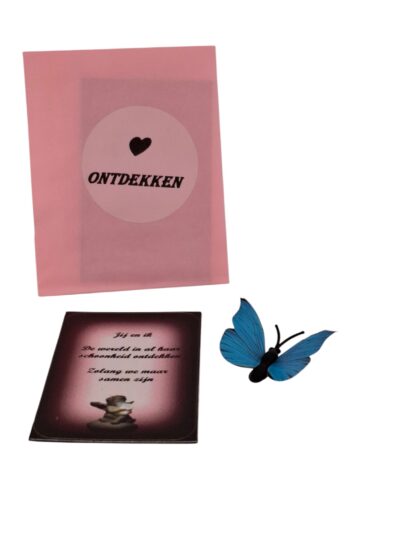 Ontdekken (magneet)